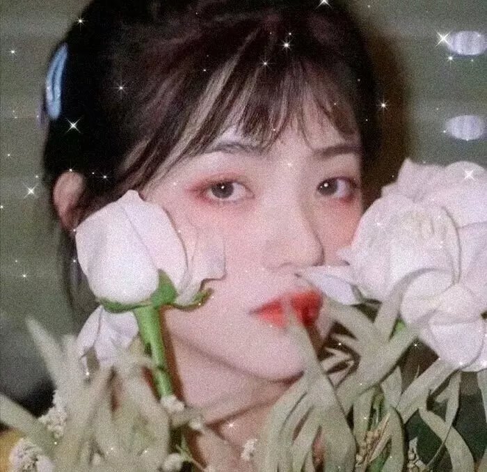 网欺少年穷
