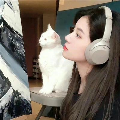 一片诚心